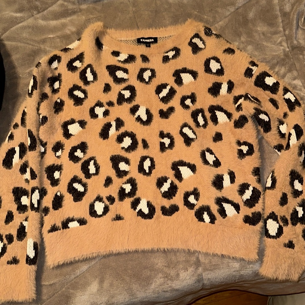 EXPRESS BRAND NEW SWEATER!!